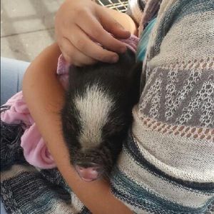 Meet your Posher, Carina